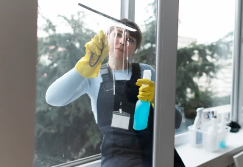 Nettoyage de vitres intérieures et extérieures à Orliac-de-Bar